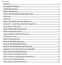 Load image into Gallery viewer, Inner Joy and the Orbital Lift